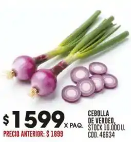 Coto Cebolla de verdeo oferta
