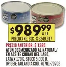 Coto Atún desmenuzado al natural/ en aceite ciudad del lago oferta
