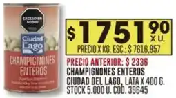 Coto Ciudad del lago champignones enteros oferta