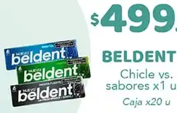 Nini Mayorista Beldent chicle vs. sabores oferta