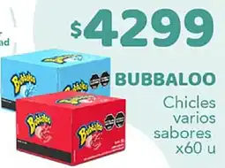 Nini Mayorista Bubbaloo chicles varios sabores oferta