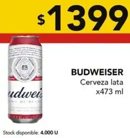 Nini Mayorista Budweiser cerveza lata oferta