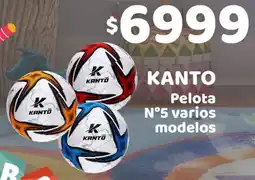 Nini Mayorista Kanto pelota n°5 varios modelos oferta