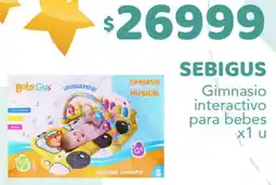 Nini Mayorista Sebigus gimnasio interactivo para bebes oferta