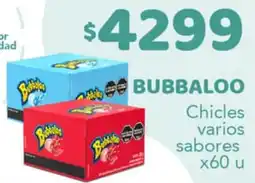Nini Mayorista Bubbaloo chicles varios sabores oferta