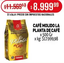 Makro La planta café molido de café oferta