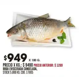 Coto Boga eviscerada congelada oferta