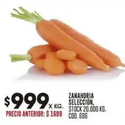 Coto Zanahoria selección oferta