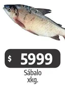 Autoservicio Capo Sábalo oferta