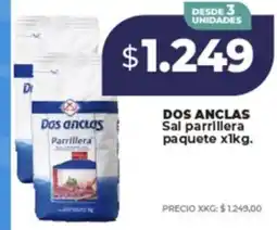 Supermayorista Vital Dos anclas sal parrillera paquete oferta