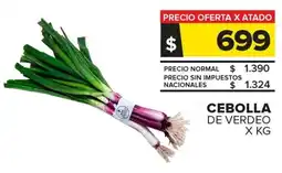Carrefour Cebolla de verdeo oferta