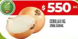 Supermercados DIA Cebolla oferta
