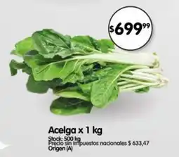 Supermercados Buenos Días Acelga oferta
