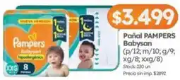 Cordiez Pampers pañal babysan oferta