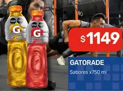 Nini Mayorista Gatorade sabores oferta