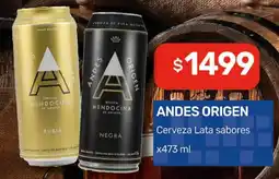 Nini Mayorista Andes origen cerveza lata sabores oferta