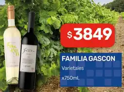 Nini Mayorista Familia gascon varietales oferta