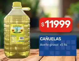 Nini Mayorista Cañuelas aceite girasol oferta