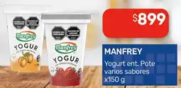 Nini Mayorista Manfrey yogurt ent. pote varios sabores oferta