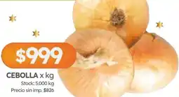 Cordiez Cebolla oferta