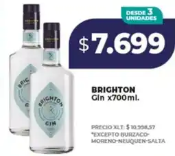 Supermayorista Vital Brighton gin oferta