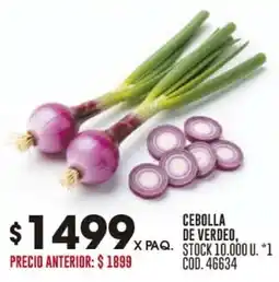 Coto Cebolla de verdeo oferta
