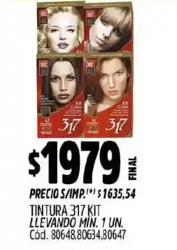 Supermercados Yaguar 317 Kit tintura oferta