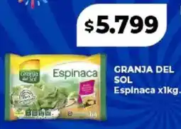Supermayorista Vital Granja del sol espinaca oferta
