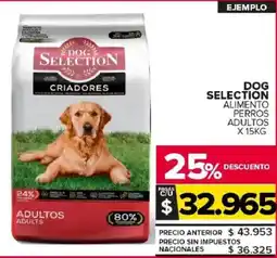 Carrefour Maxi Doc selection alimento perros adultos oferta