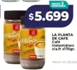 Supermayorista Vital La planta de cafe café instantáneo cla.fr oferta
