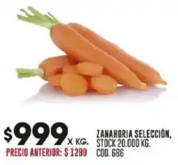 Coto Zanahoria selección oferta
