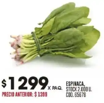 Coto Espinaca oferta