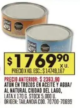Coto Atun en trozos en aceite y agua/ al natural ciudad del lago oferta