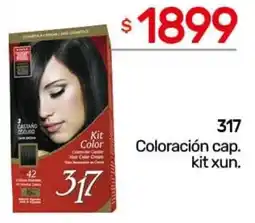 Nini Mayorista 317 coloración cap. kit oferta