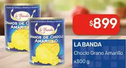 Nini Mayorista La banda choclo grano amarillo oferta