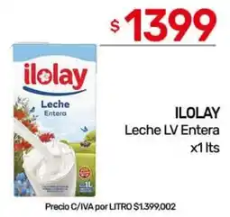 Nini Mayorista Ilolay leche lv entera oferta