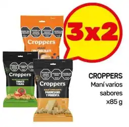 Nini Mayorista Croppers maní varios sabores oferta