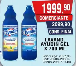 Maxiconsumo Ayudín lavand. gel oferta