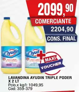 Maxiconsumo Yudín lavandina triple poder oferta