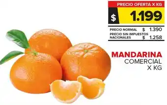 Carrefour Mandarina oferta