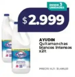 Supermayorista Vital Ayudin quitamanchas blancos intensos oferta
