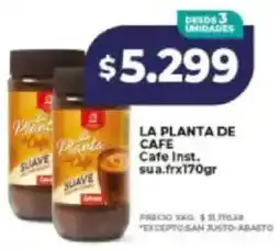 Supermayorista Vital La planta de cafe cafe inst. sua.fr oferta