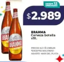 Supermayorista Vital Brahma cerveza botella oferta