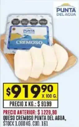 Coto Queso cremoso punta del agua oferta
