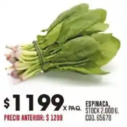 Coto Espinaca oferta