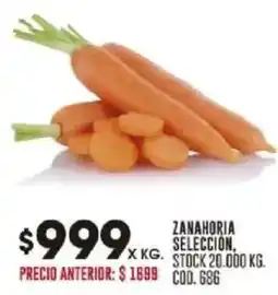 Coto Zanahoria seleccion oferta