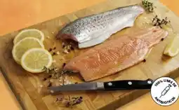 Coto Filet de trucha grande con piel congelada oferta