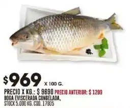 Coto Boga eviscerada congelada oferta
