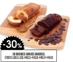 Coto En budines varios sabores oferta