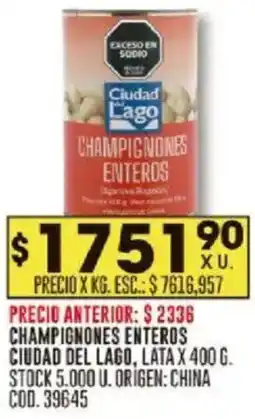 Coto Ciudad del lago champignones enteros lata oferta
